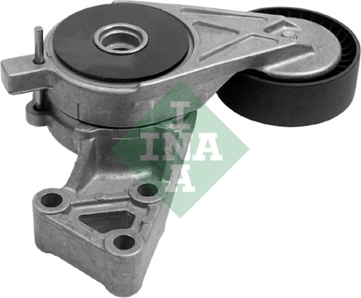 INA 30 - V Kayis Gergisi Komple - Vw Golf4-golf5-bora-jetta-passat-a3-leon