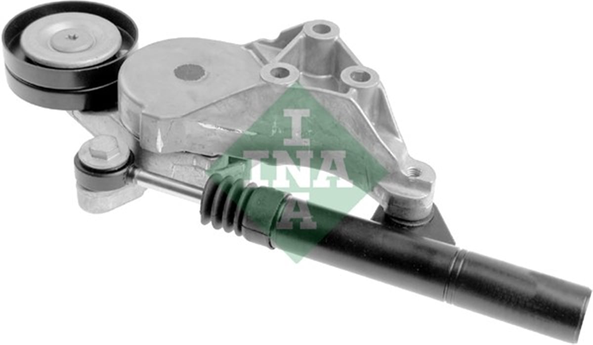INA 30 - V Kayis Gergisi Komple - Vw Golf4-bora-a3-toledo-octavia