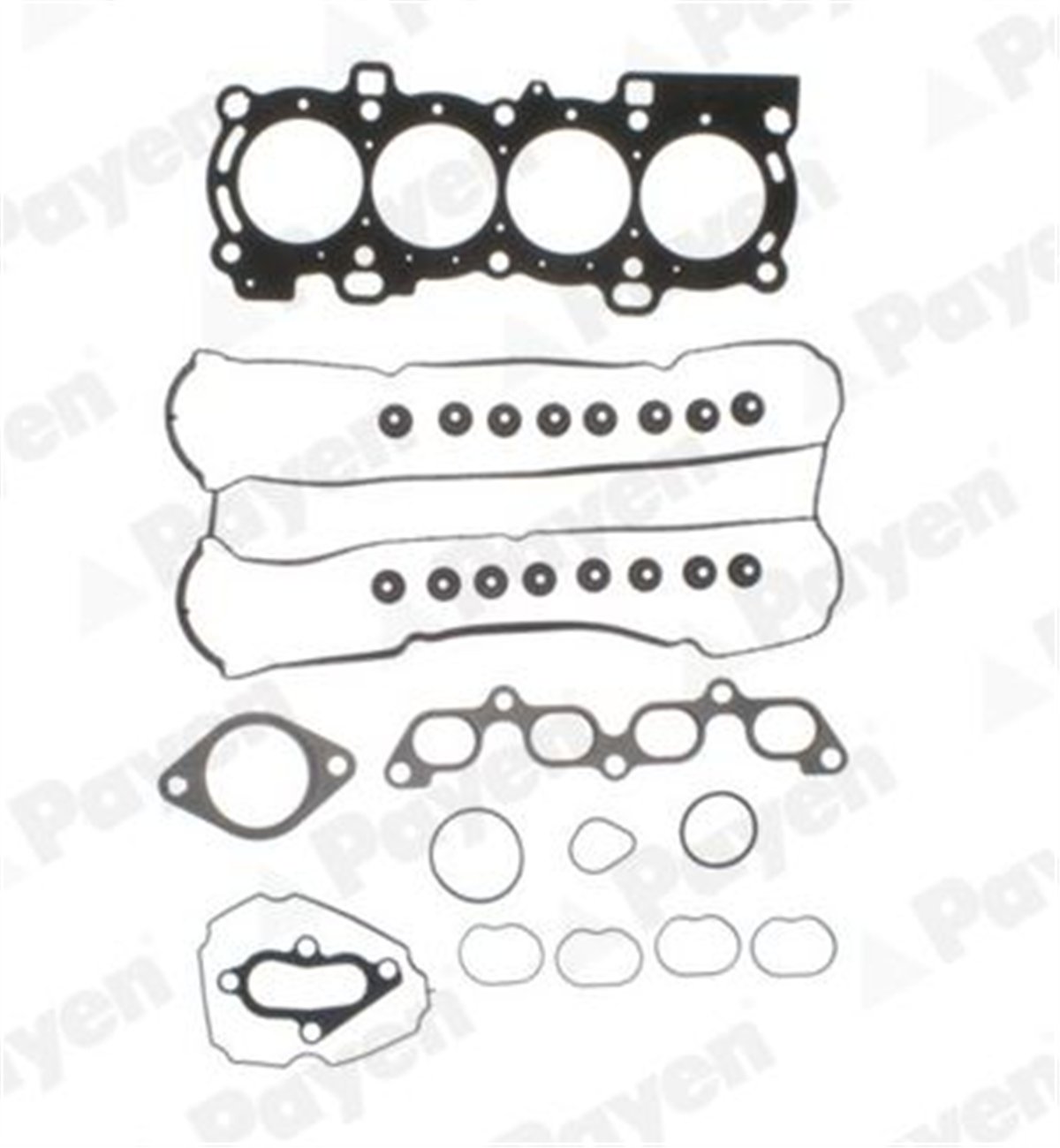 PAYEN CG9560 - Takim Conta Üst - Ford Fiesta/focus/c-max