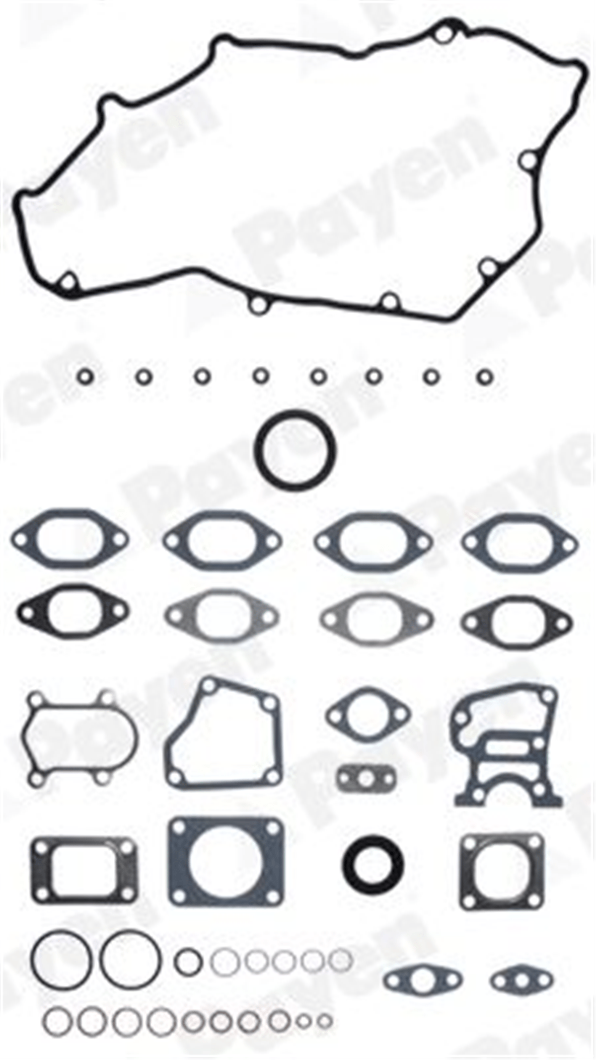PAYEN DX391 - Takim Conta Üst - Renault Master/ducato/boxer/jumper