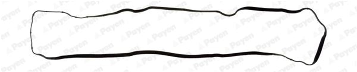 PAYEN JM7035 - Üst Kapak Contasi - Psa 206/307