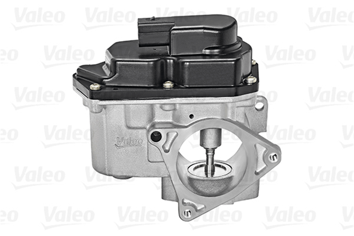 VALEO 700424 - Egr Valfi - Vw Passat-golf6-a3-a4-a5