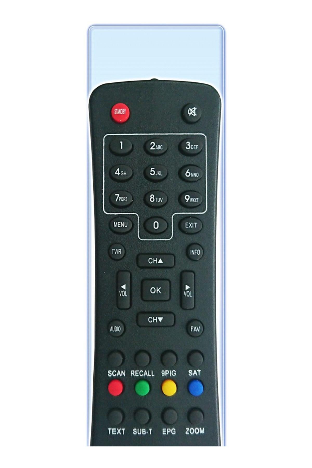 13003 SD AMSTRAD JUNIOR B