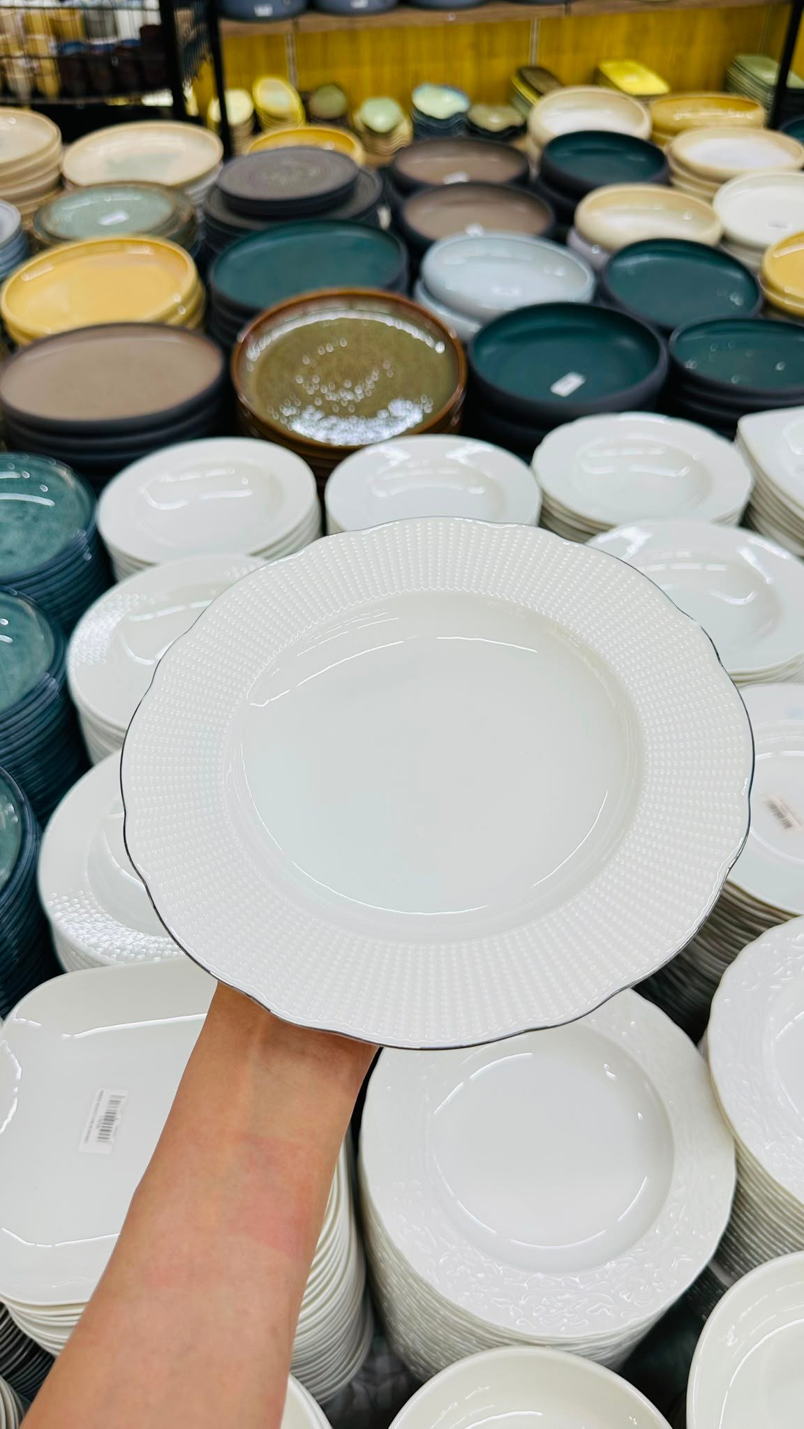 KÜTAHYA PORSELEN 22 CM PLATİN YALDIZLI 6'LI YEMEK TABAĞI