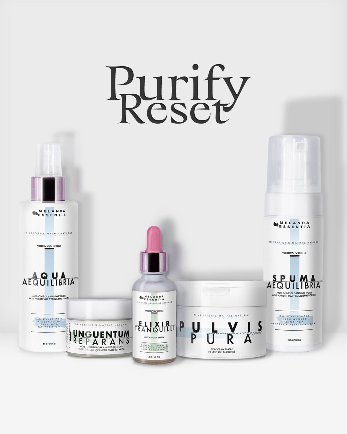 PURIFY RESET 
