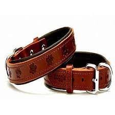 DOGGİE KONFOR DERİ PATİ DESENLİ BOYUN TASMASI KAHVE 2X30-35CM
