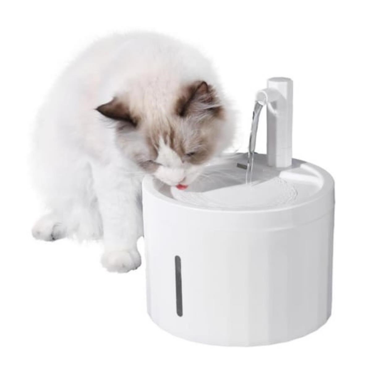 ELS Pet Coruption Kedi&Köpek Su Pınarı, 2,5lt