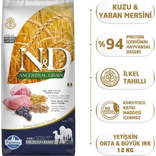 N&D Ancestral Grain Düşük Tahıllı Kuzu Etli ve Yaban Mersinli 12 kg Orta Büyük Irk Yetişkin Köpek Maması