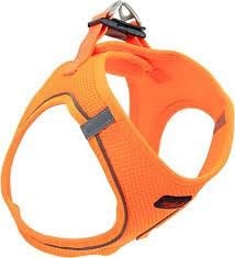 TAİLPETZ GÖĞÜS TASMASI ORANGE XL