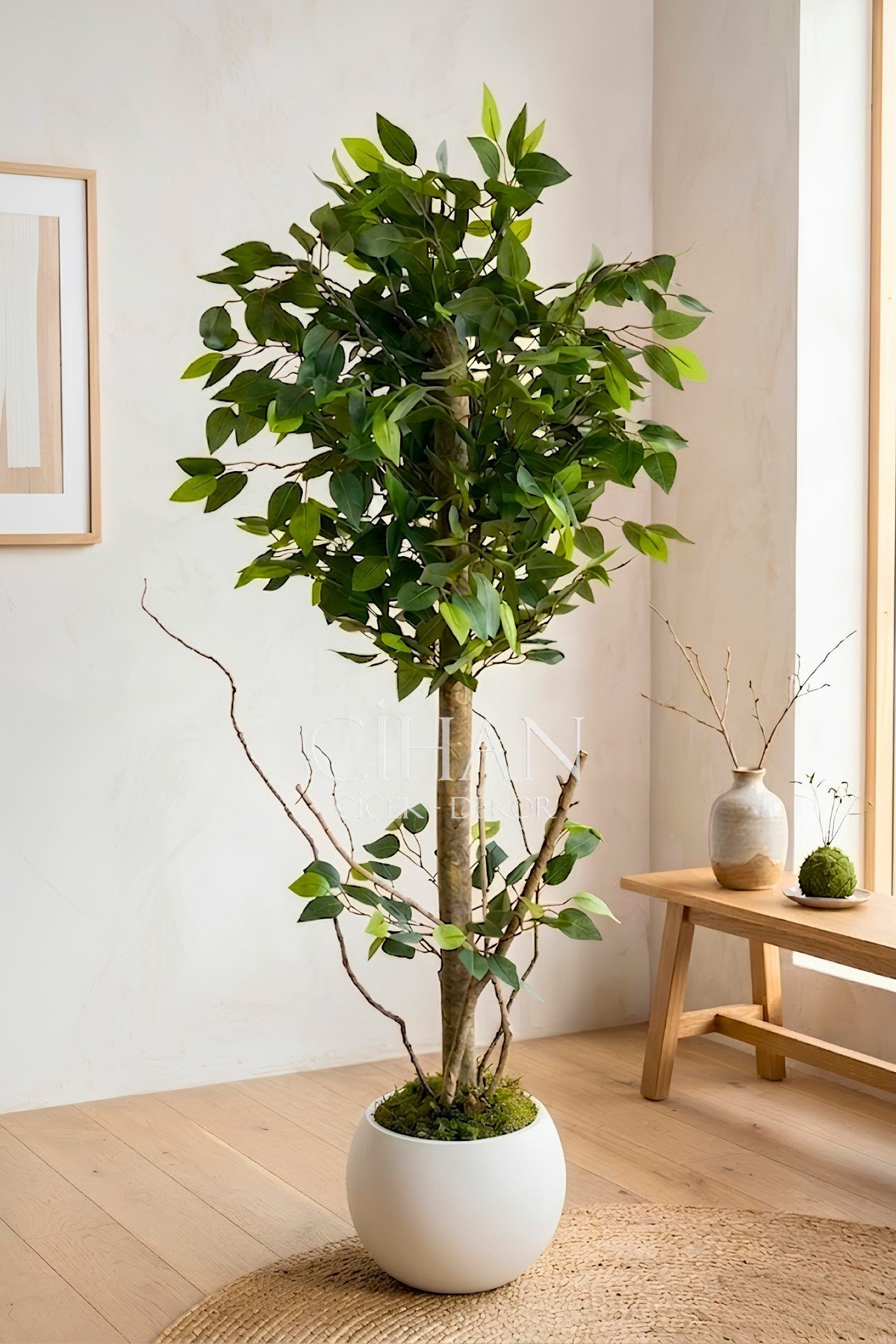 120 cm Yapay Benjamin Ağacı Küre Saksılı Premium Salon Bitkisi