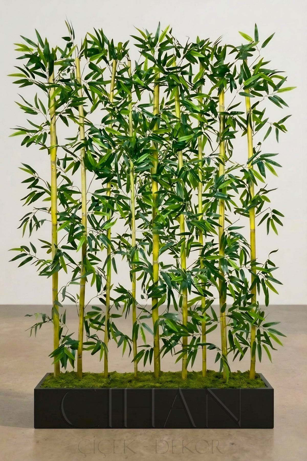 BAMBU SEPERATÖR 200 CM 9 ADET BAMBU 100 CM ANTRASİT SAKSI