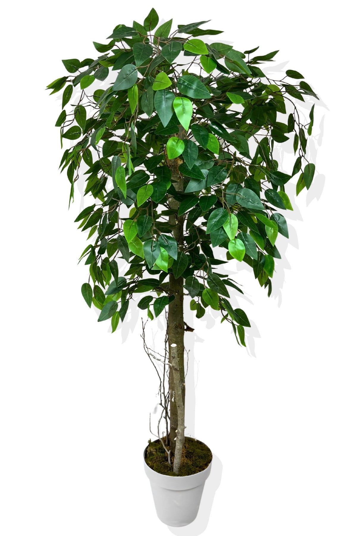 Benjamin 140 Cm Yapay Ağaç