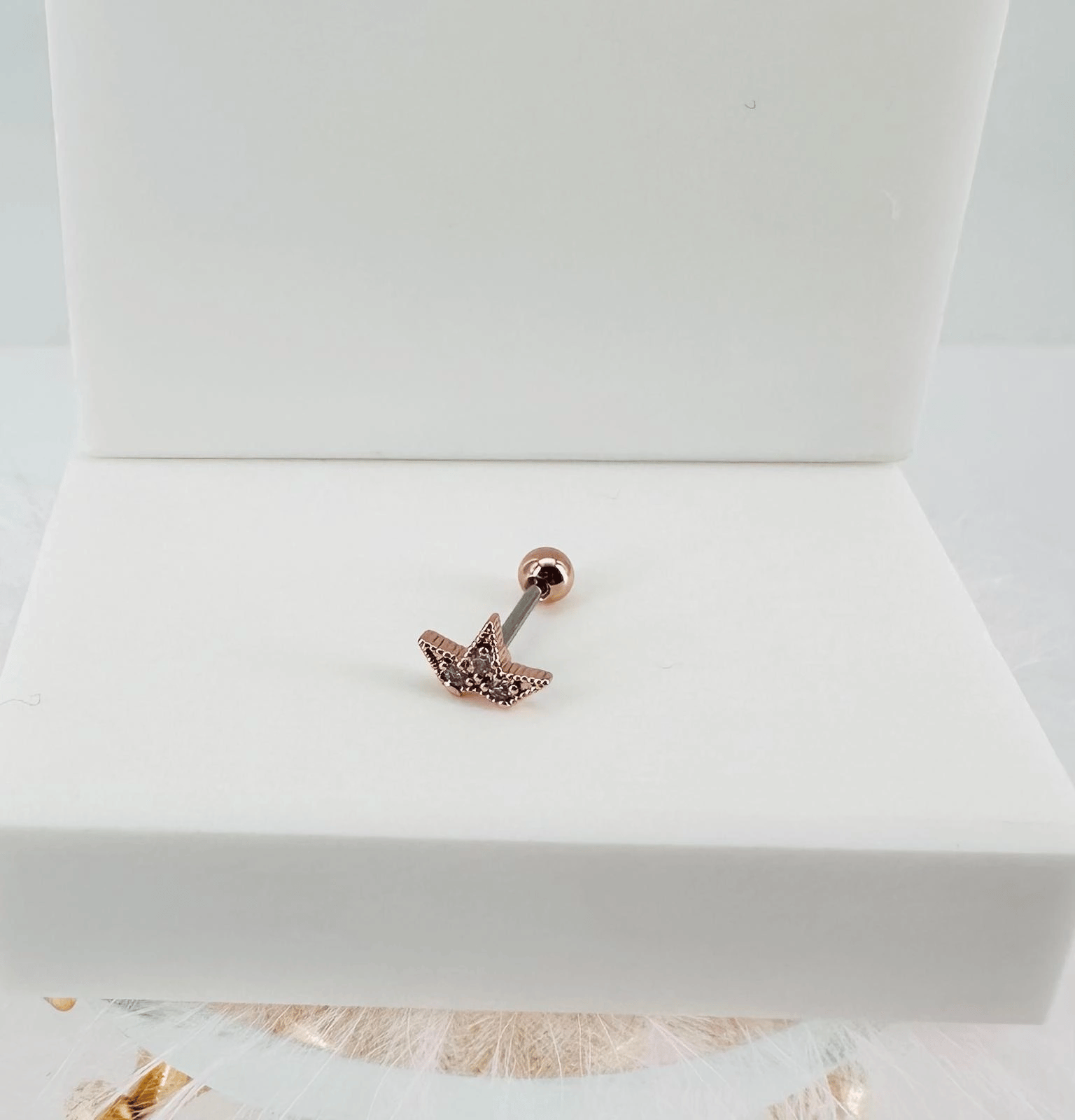 Tragus Kıkırdak Küpesi