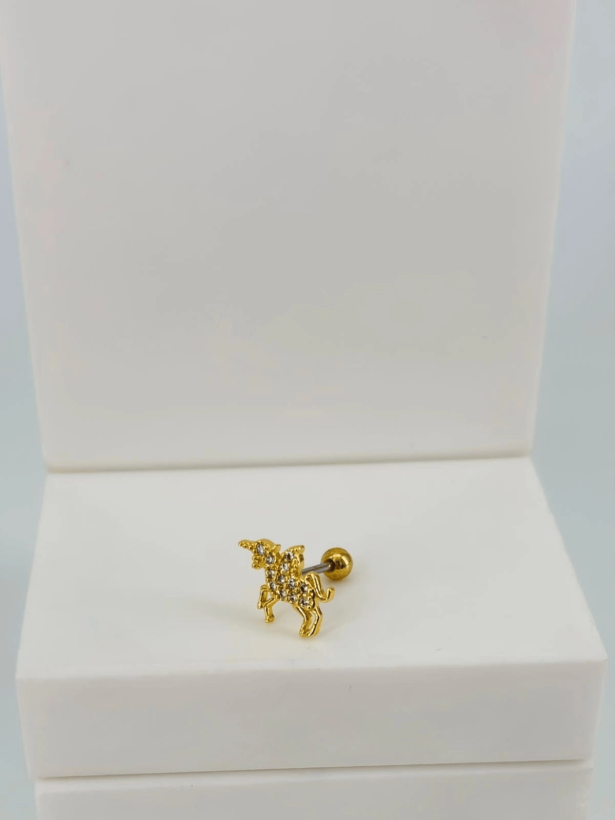 Tragus Kıkırdak Küpesi