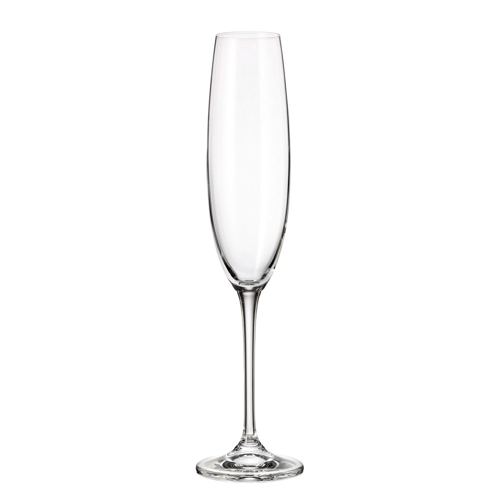 collection-fulica-champagne-flute-250--e25c2-.jpg