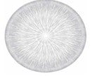 Solo Multipurpose Round Tray 320 mm Set 2 Pcs Tabak