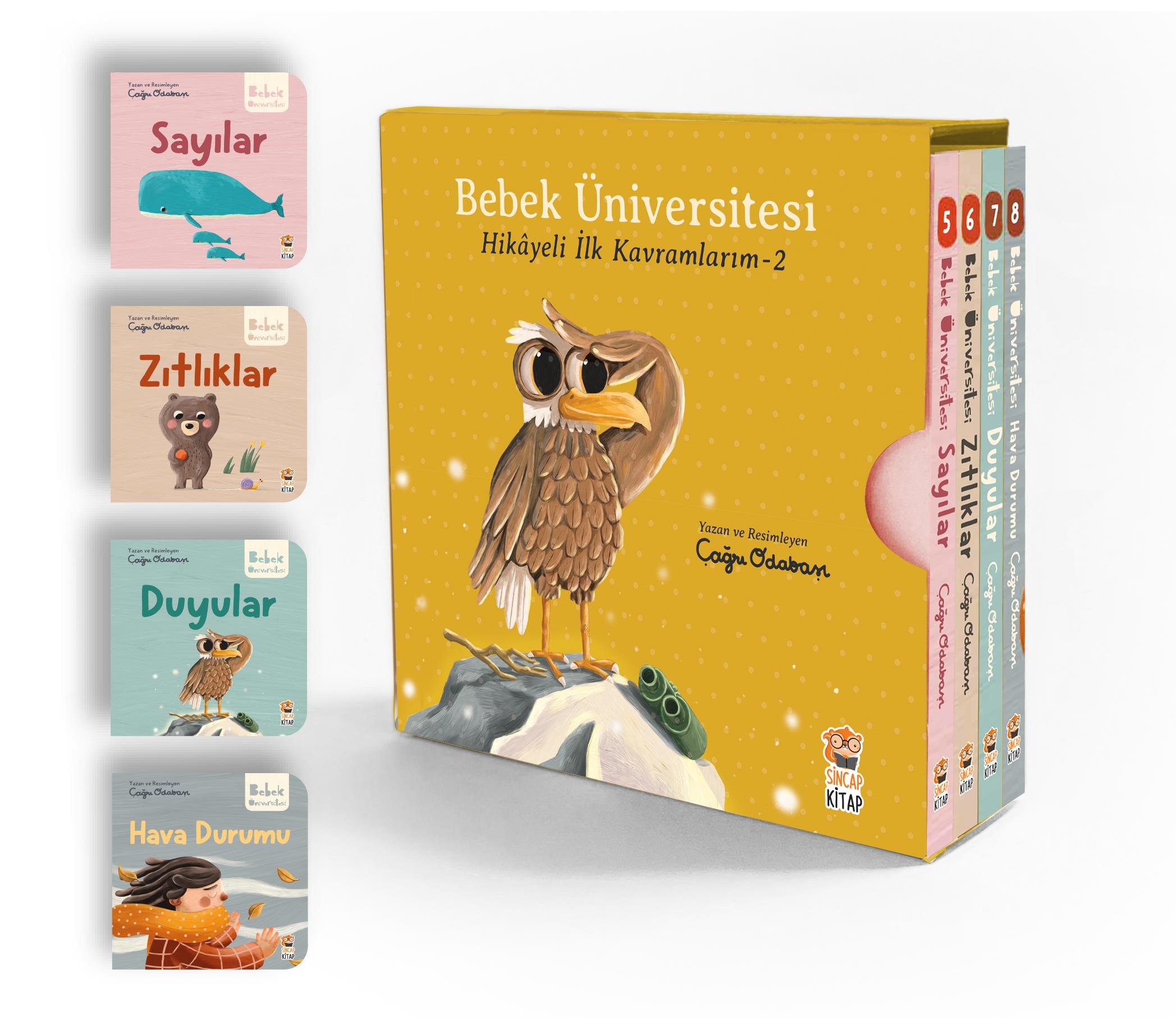 Sincap Kitap Bebek Üniversitesi- Hikayeli İlk Kavramlarım-2