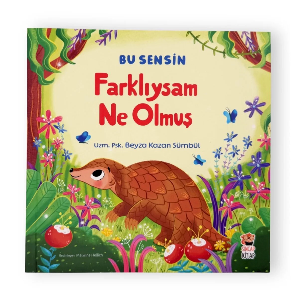 Sincap Kitap Farklıysam Ne Olmuş Bu Sensin Serisi
