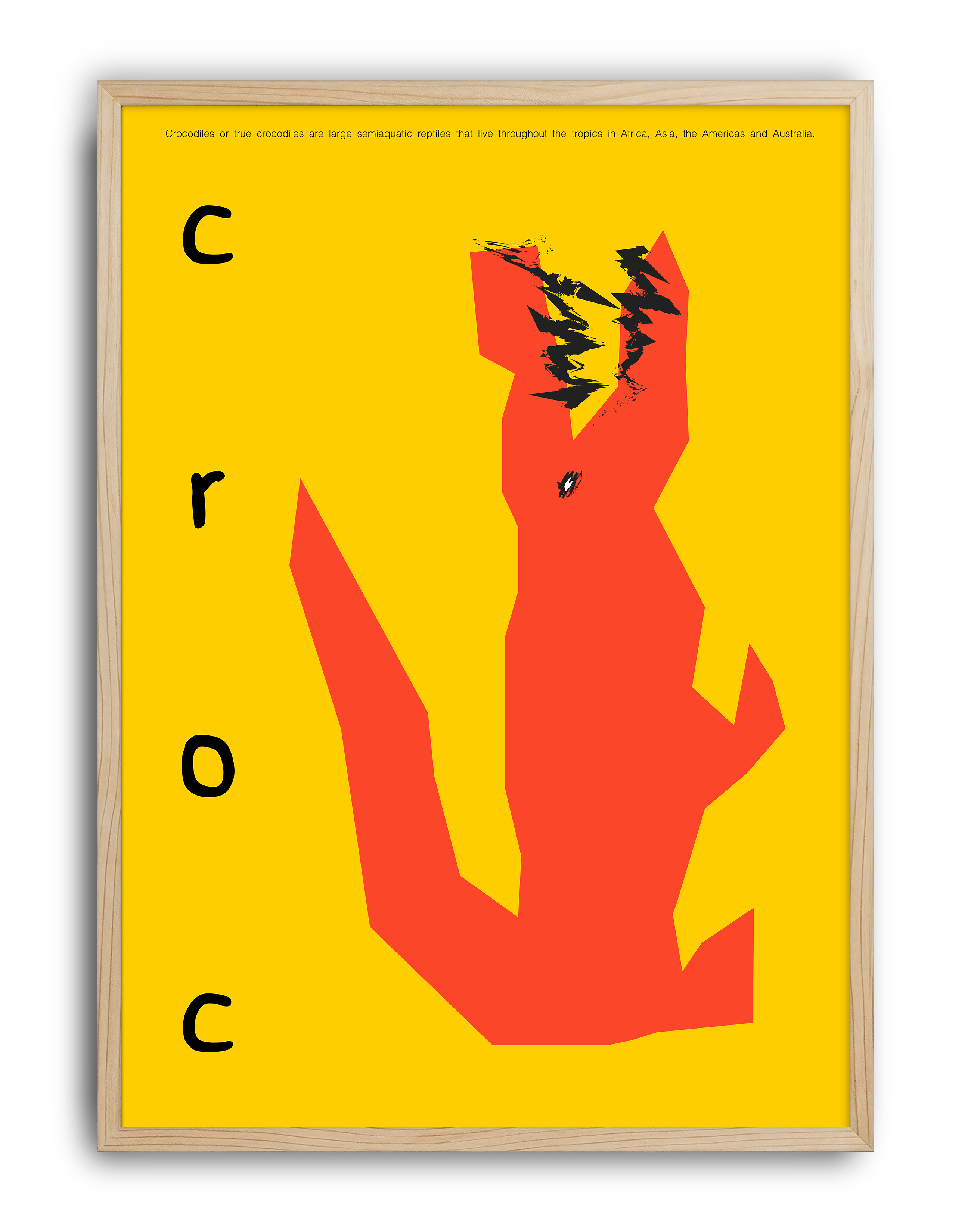 Croc by Anna Matevosian