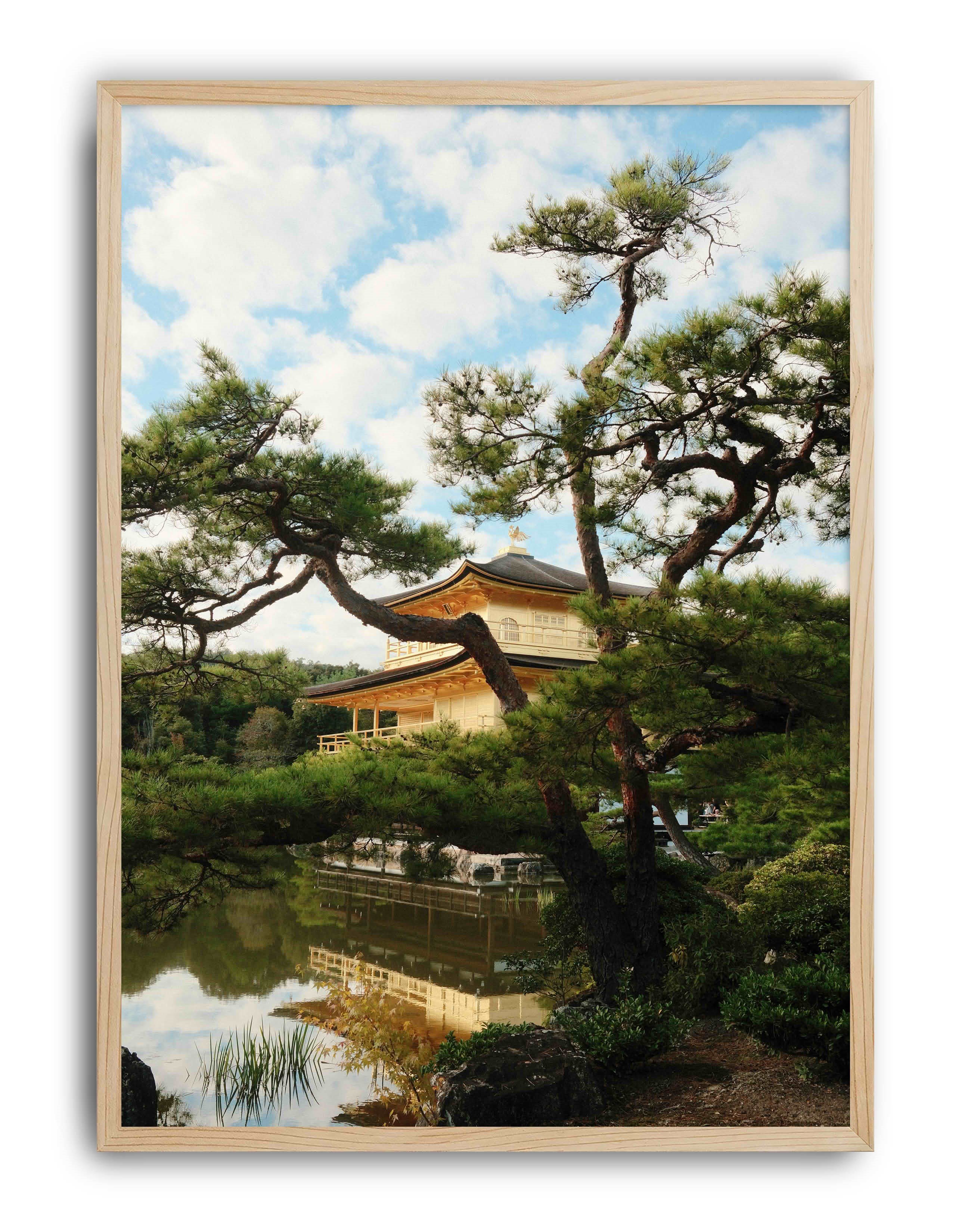 Golden Pines Kyoto by Selin Demiroğlu