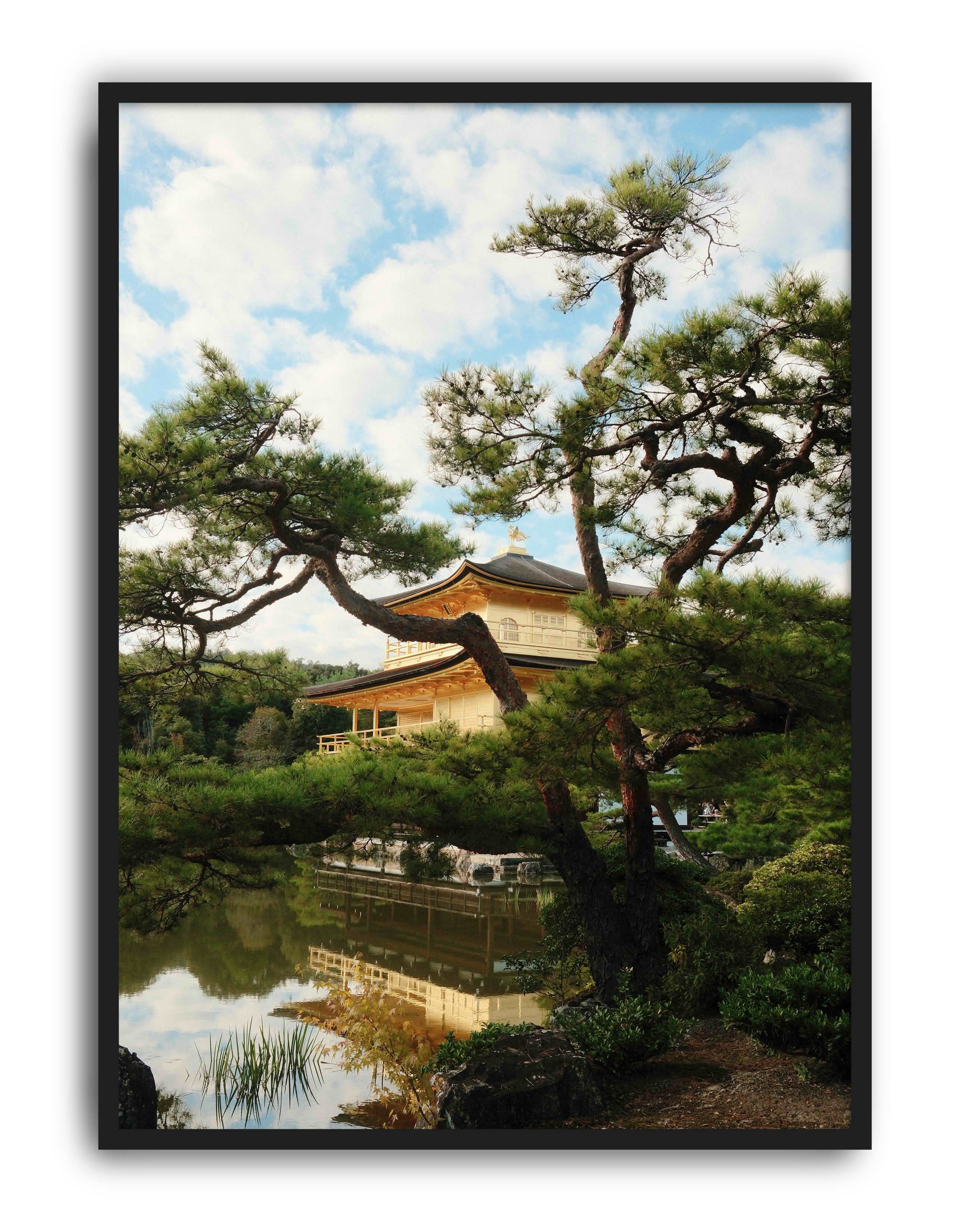 Golden Pines Kyoto by Selin Demiroğlu