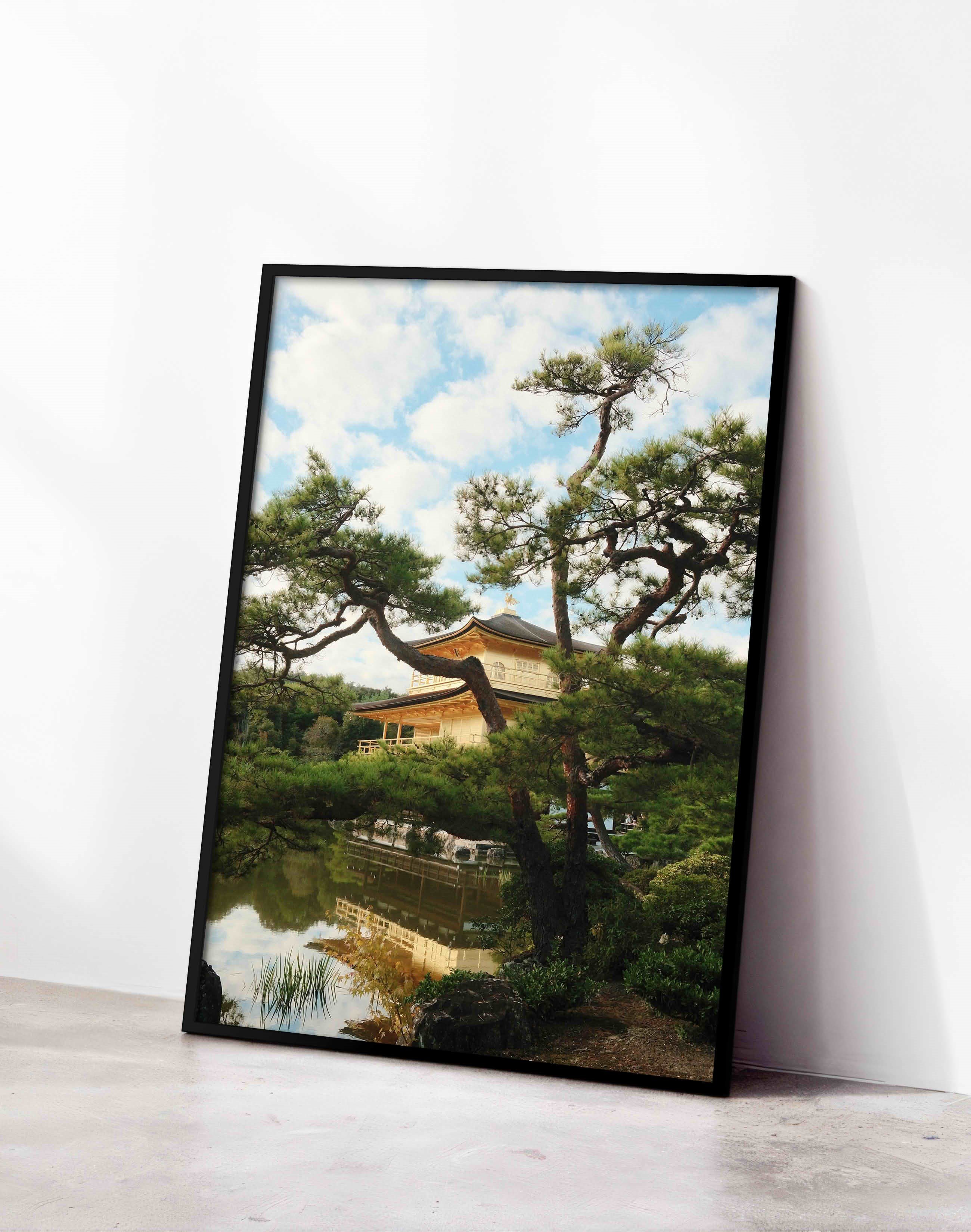 Golden Pines Kyoto by Selin Demiroğlu