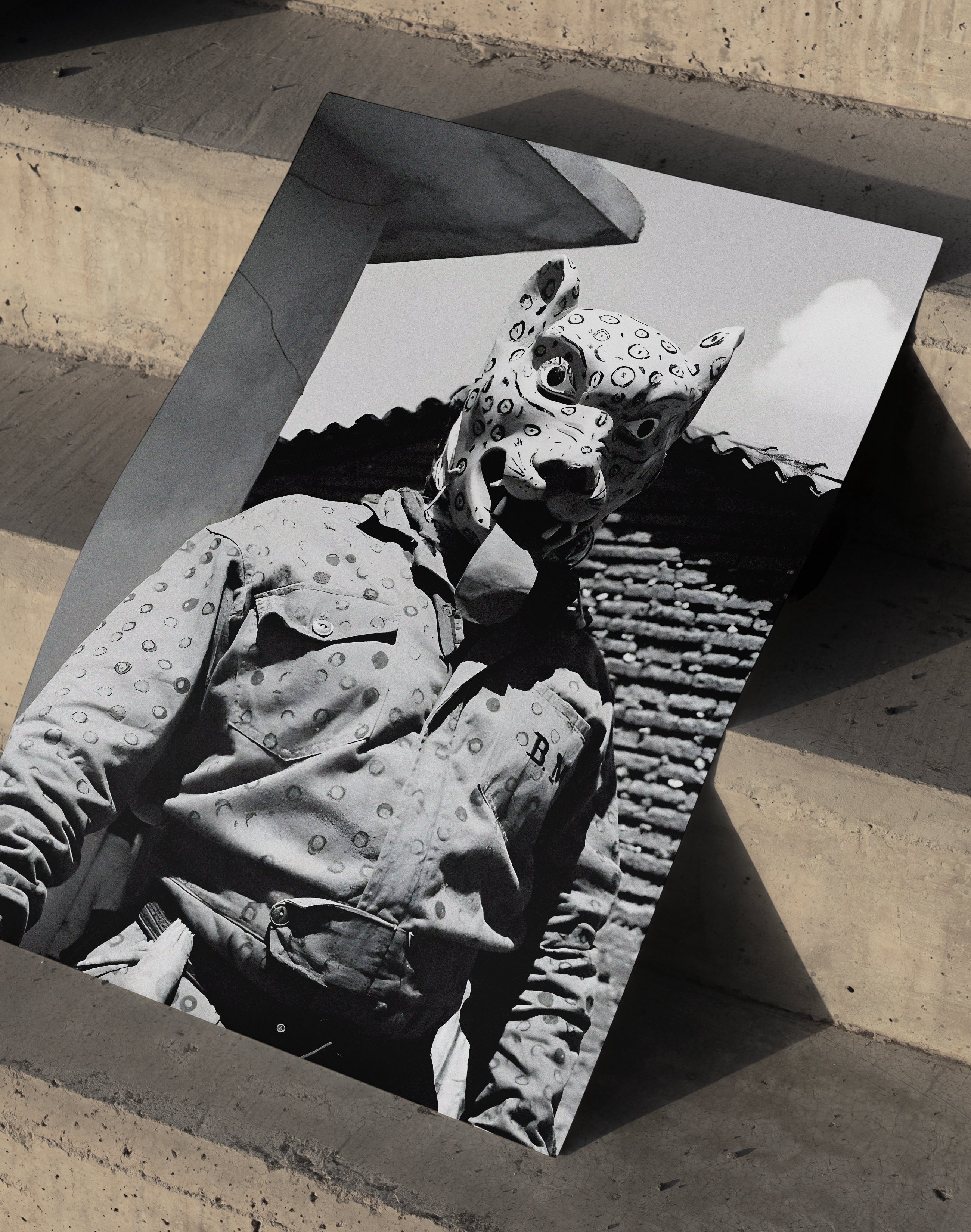 Jaguar Mask Modern Duvar Tablosu – Siyah Beyaz Fotoğraf Poster