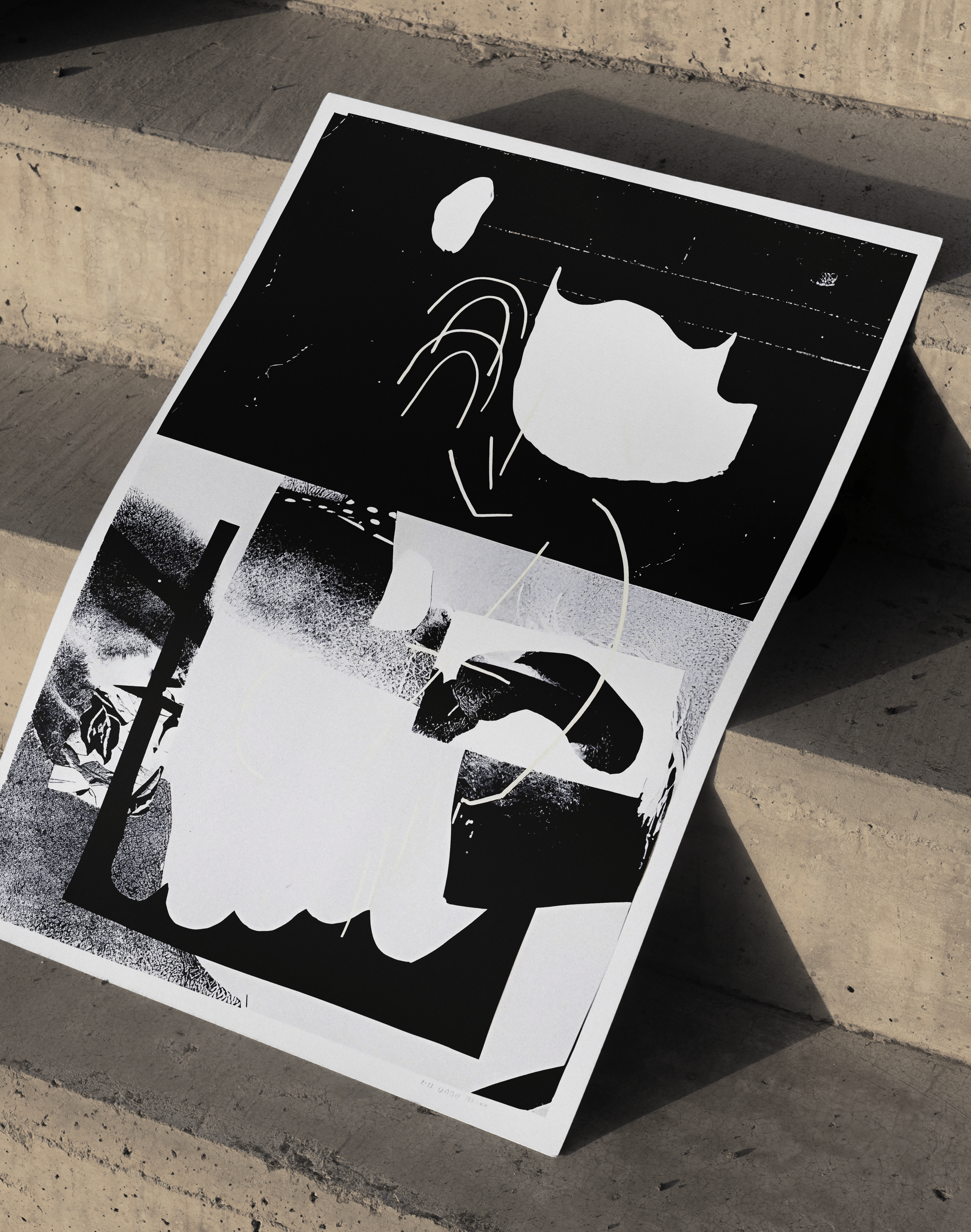 Noir Bloom Modern Duvar Tablosu – Siyah Beyaz Abstract Poster