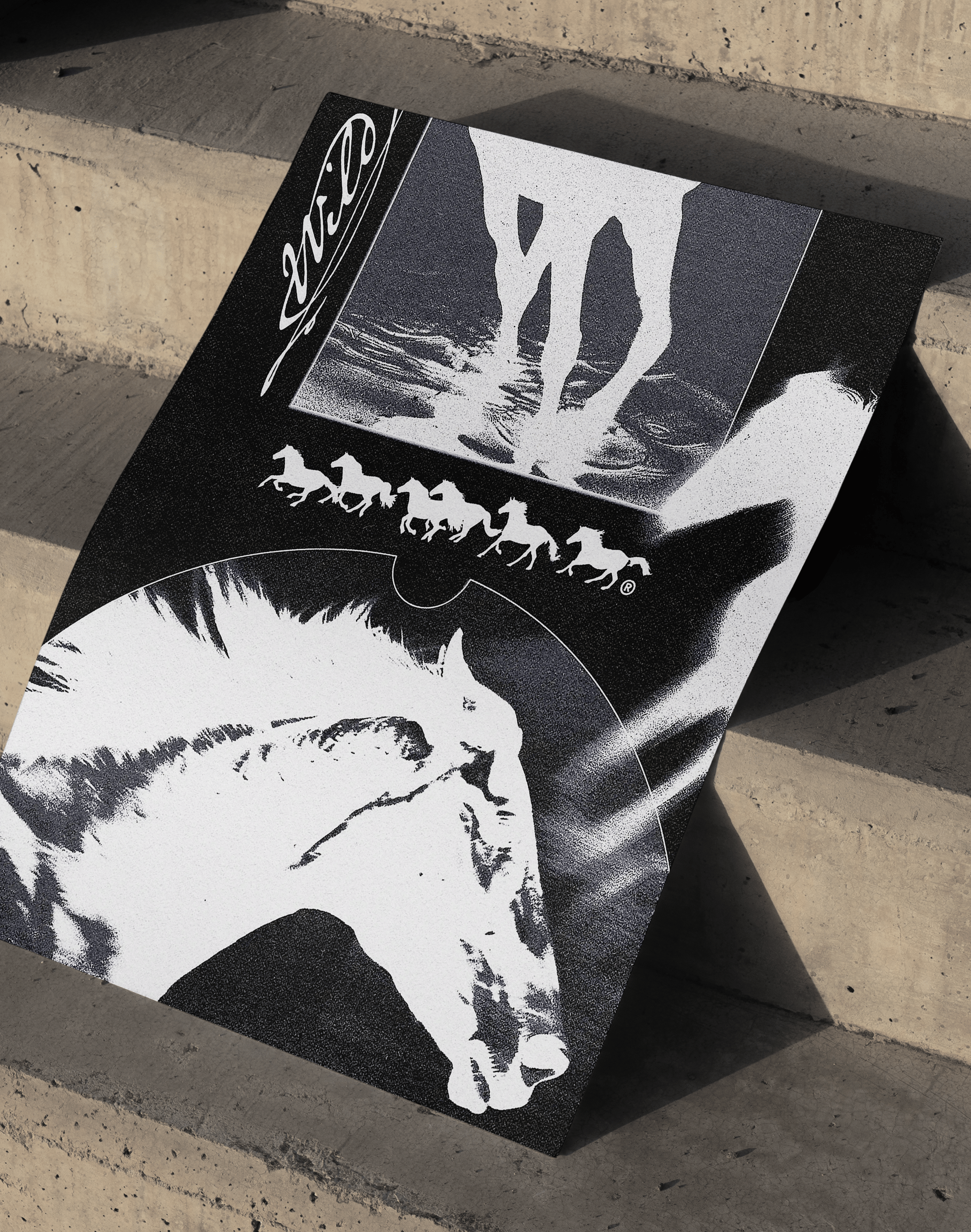 Noir Horse Modern Duvar Tablosu – Siyah Beyaz At Kolaj Poster