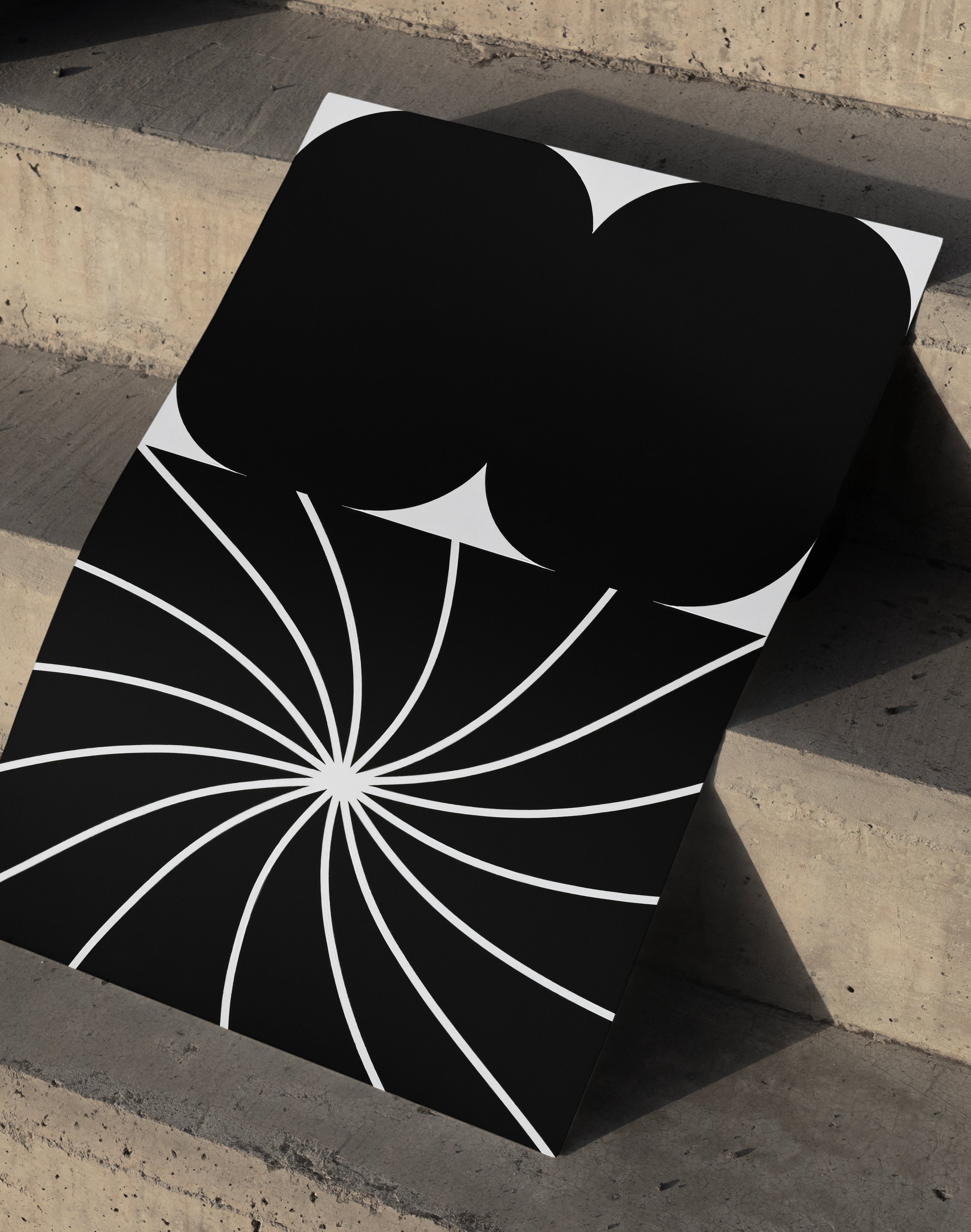 Optic Bloom Modern Duvar Tablosu – Siyah Beyaz Optik Abstract Poster
