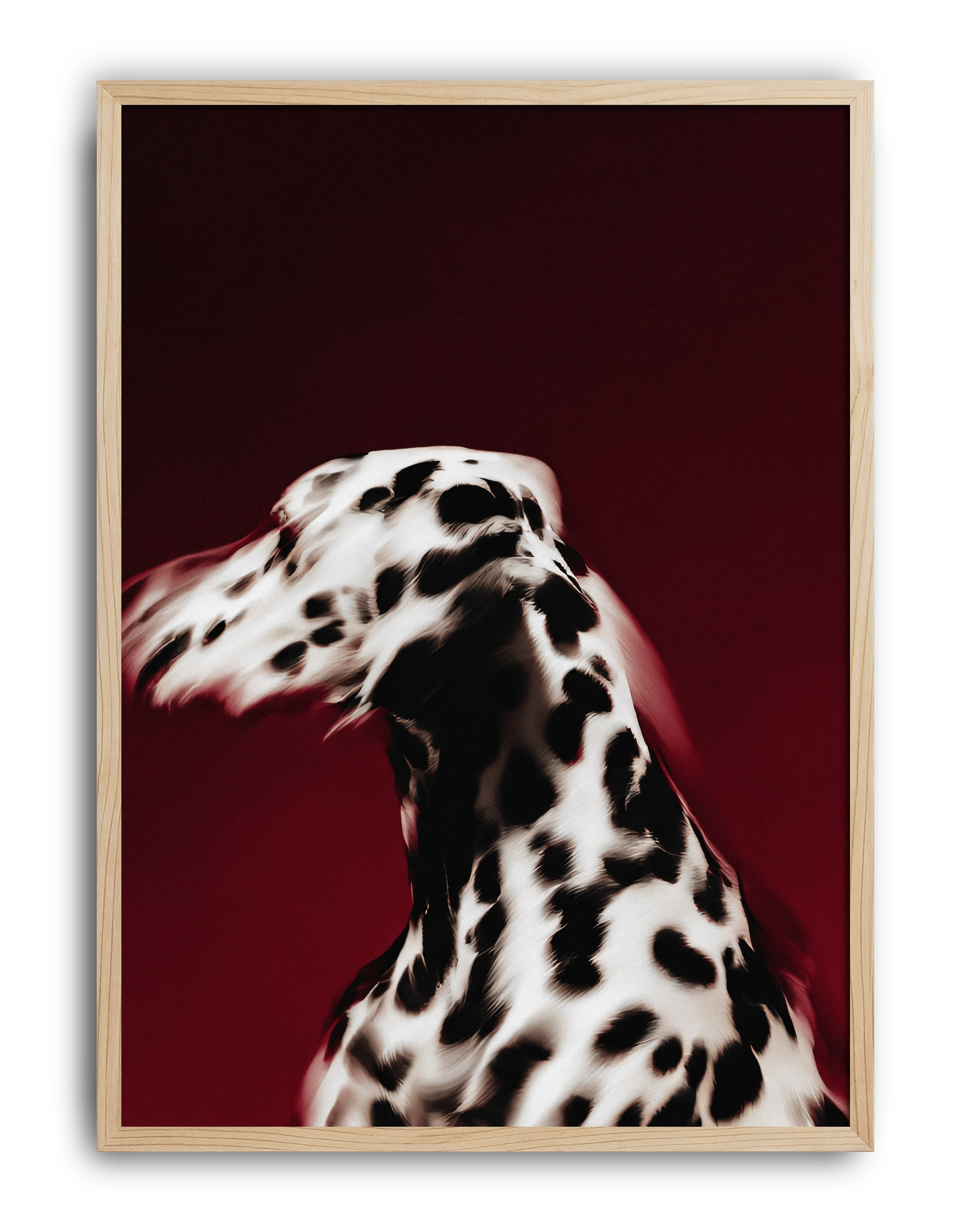 Red Dalmatian Modern Duvar Tablosu – Kırmızı Dalmaçyalı Köpek Poster