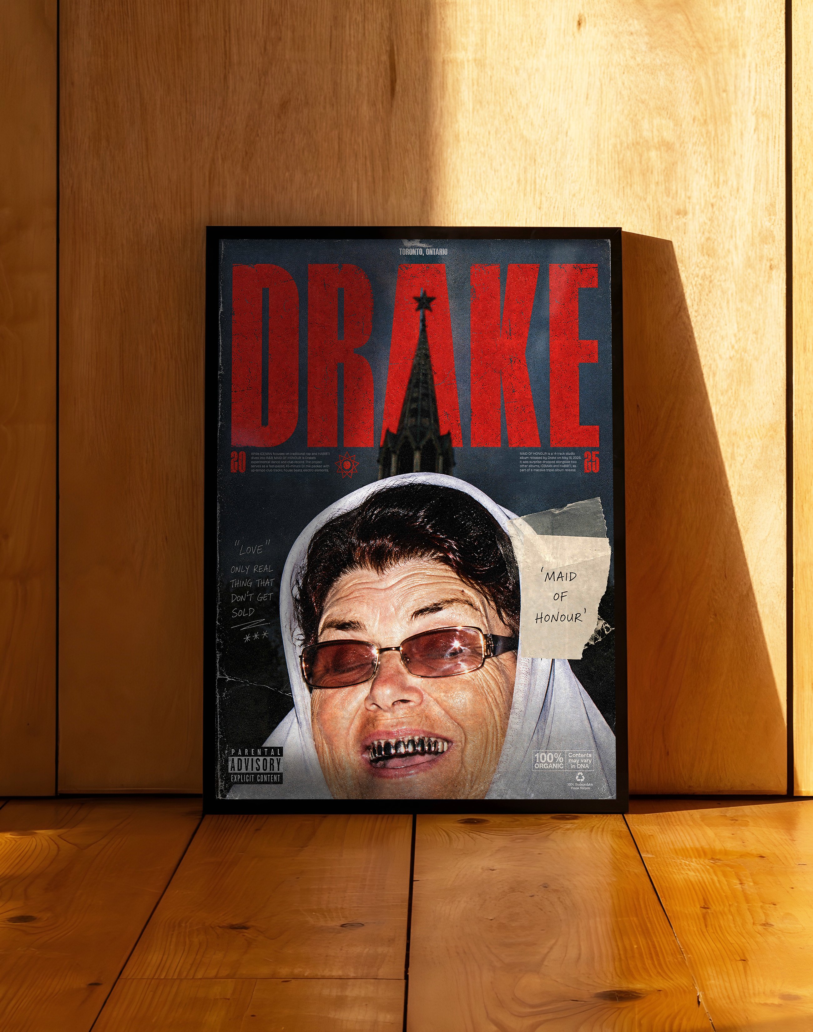 Toronto Drake Collage by Rana Aksu