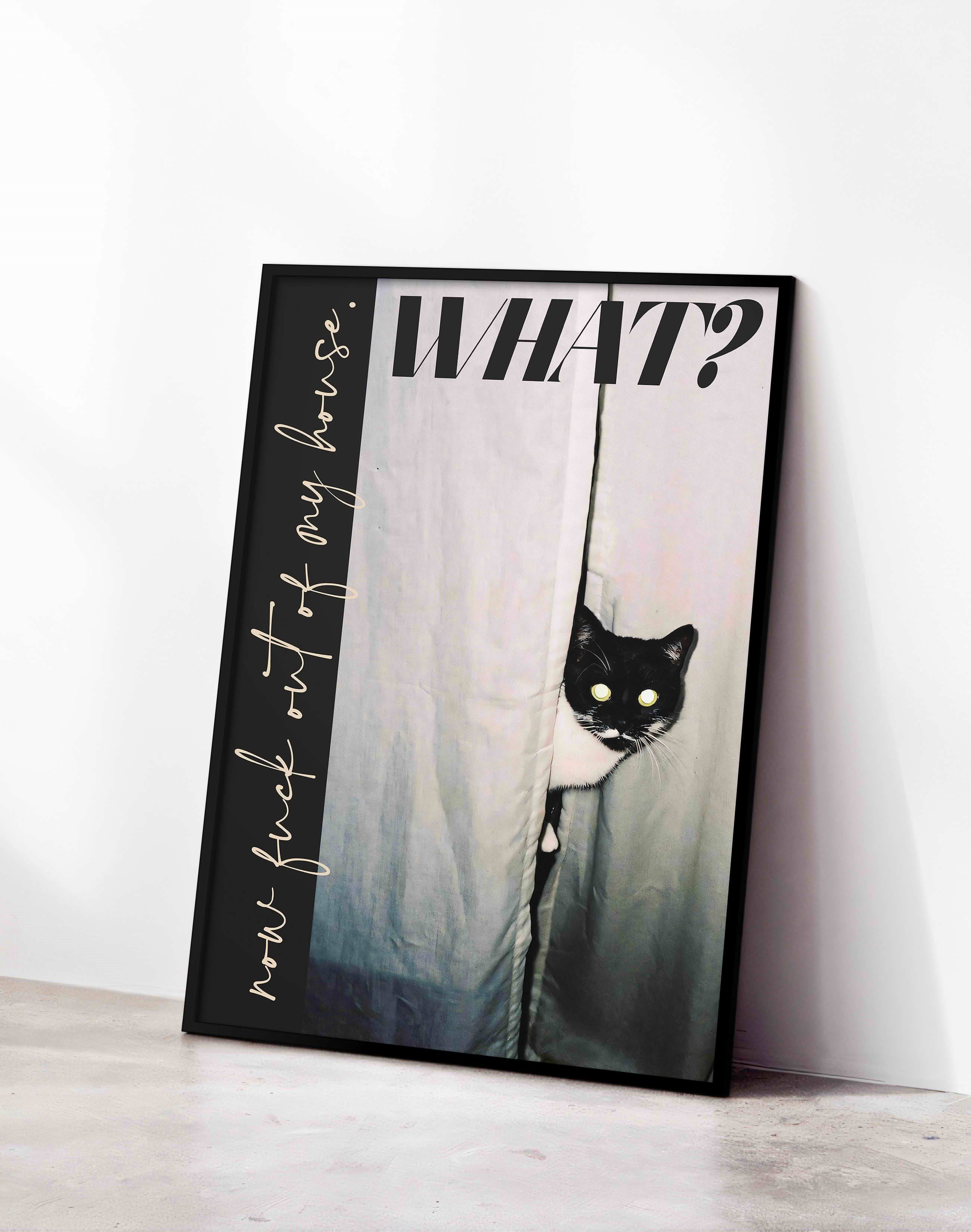 What Cat Modern Kedi Duvar Tablosu - Siyah Beyaz Fotoğrafik Poster