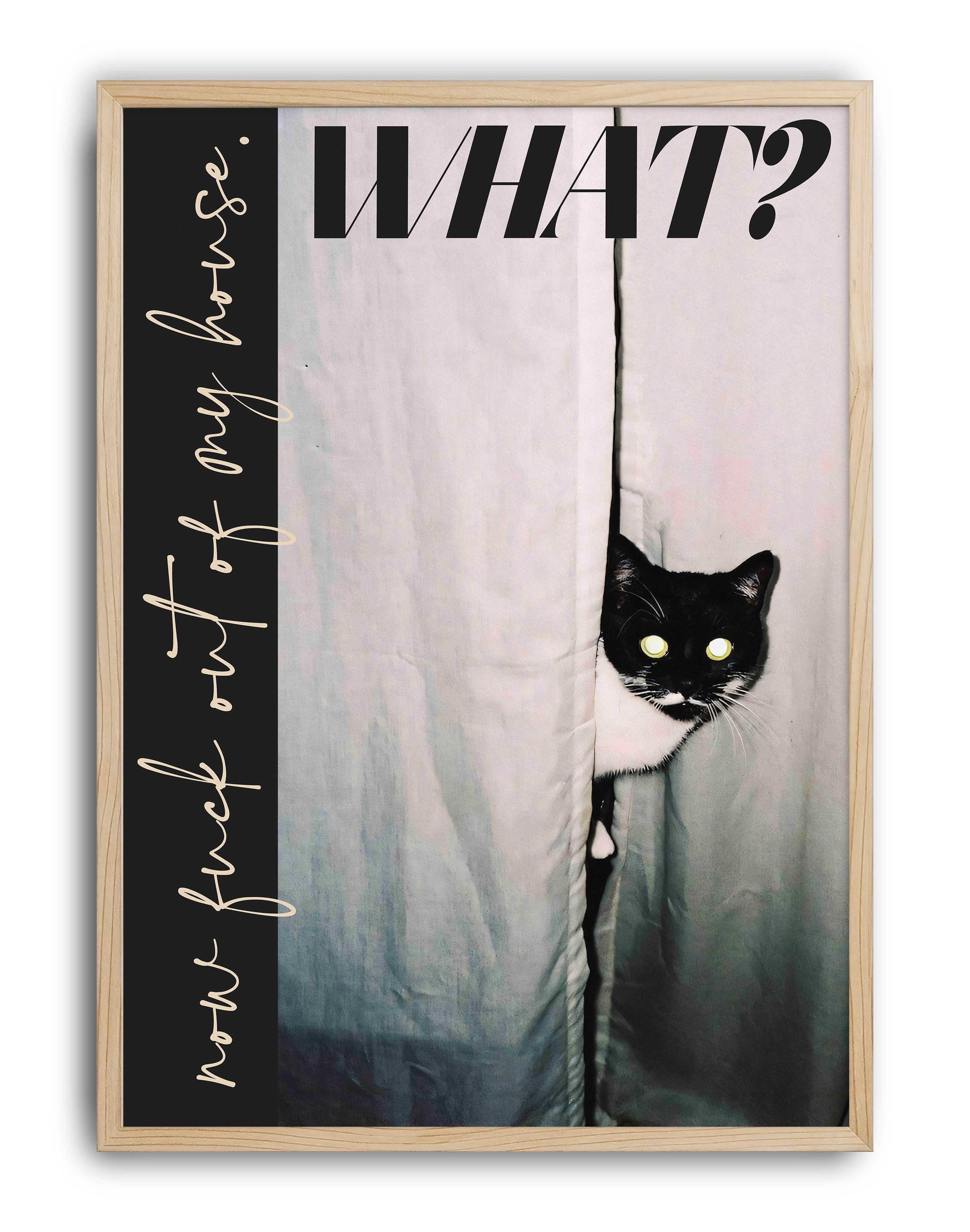 What Cat Modern Kedi Duvar Tablosu - Siyah Beyaz Fotoğrafik Poster