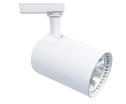 1 Adet CATA CT 5333 Babil Ledli Ray Spot 30W Beyaz Kasa 3200K Gün Işığı