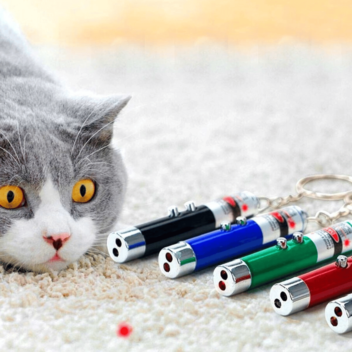 3 Fonksiyonlu Kırmızı Beyaz Işıklı Led Lazer Kedi Köpek Oyuncak Anahtarlık Bx40