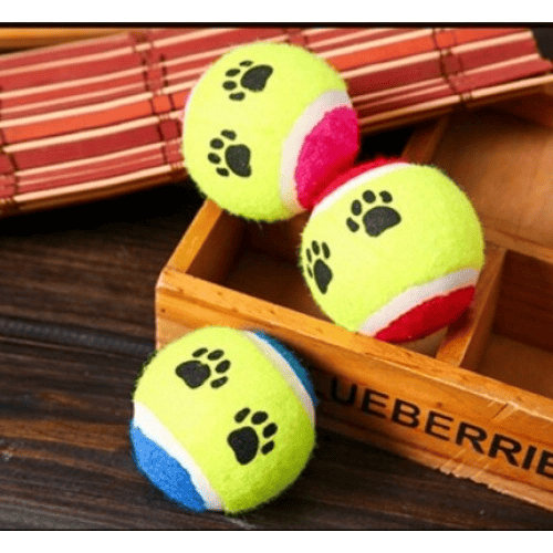 At Getir Köpek Eğitim Topu Bx40