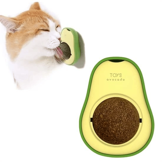 Avokado Model Yapışkanlı Kedi Oyuncağı Yenilebilir Kedi Nanesi Otu Bx40