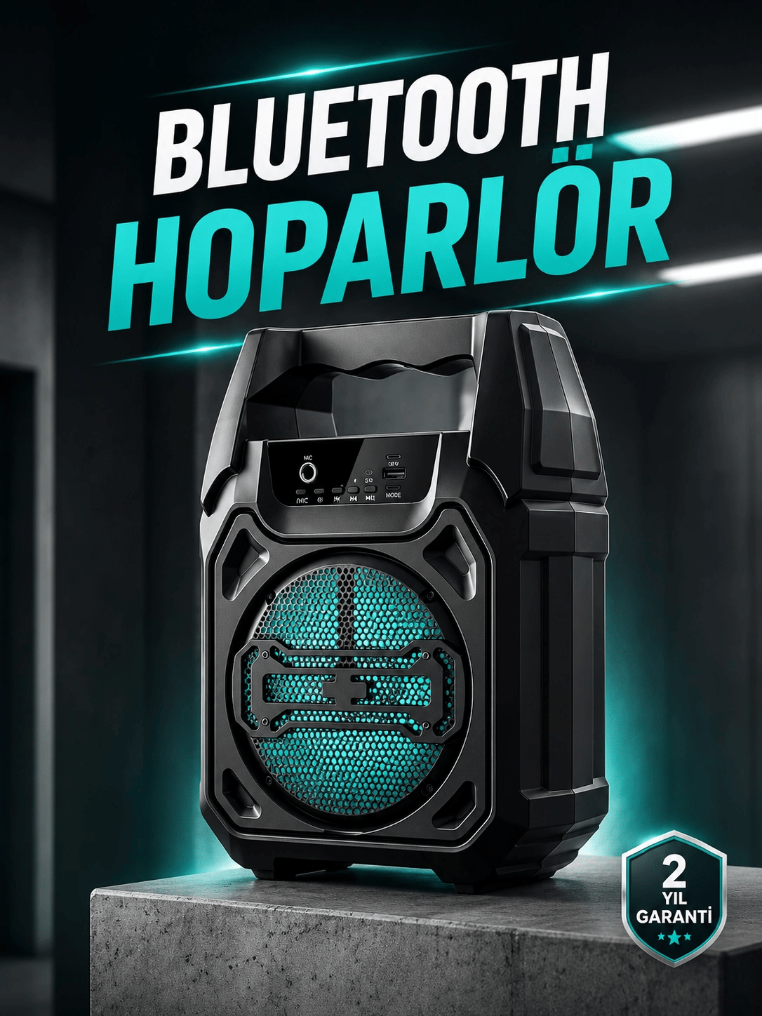 Kablosuz 6.5 İnç TWS Bluetooth Hoparlör