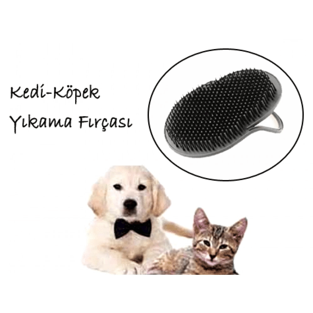 Kedi Yıkama Fırçası Bx40