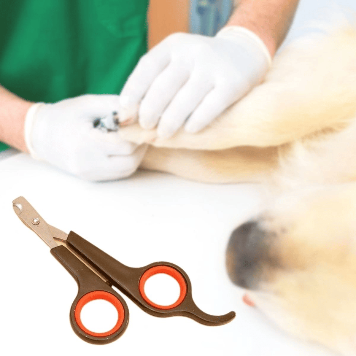 Küçük Çelik Uçlu Kedi Köpek Evcil Hayvan Tırnak Makası Pati Bakım Aleti Ergonomik Kaymaz Sap Bx40