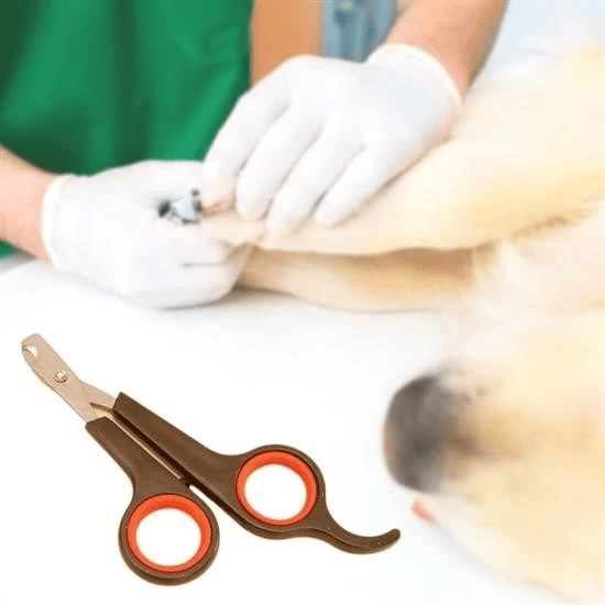 Küçük Çelik Uçlu Kedi Köpek Evcil Hayvan Tırnak Makası Pati Bakım Aleti Ergonomik Kaymaz Sap-1 Adet Fiyatı