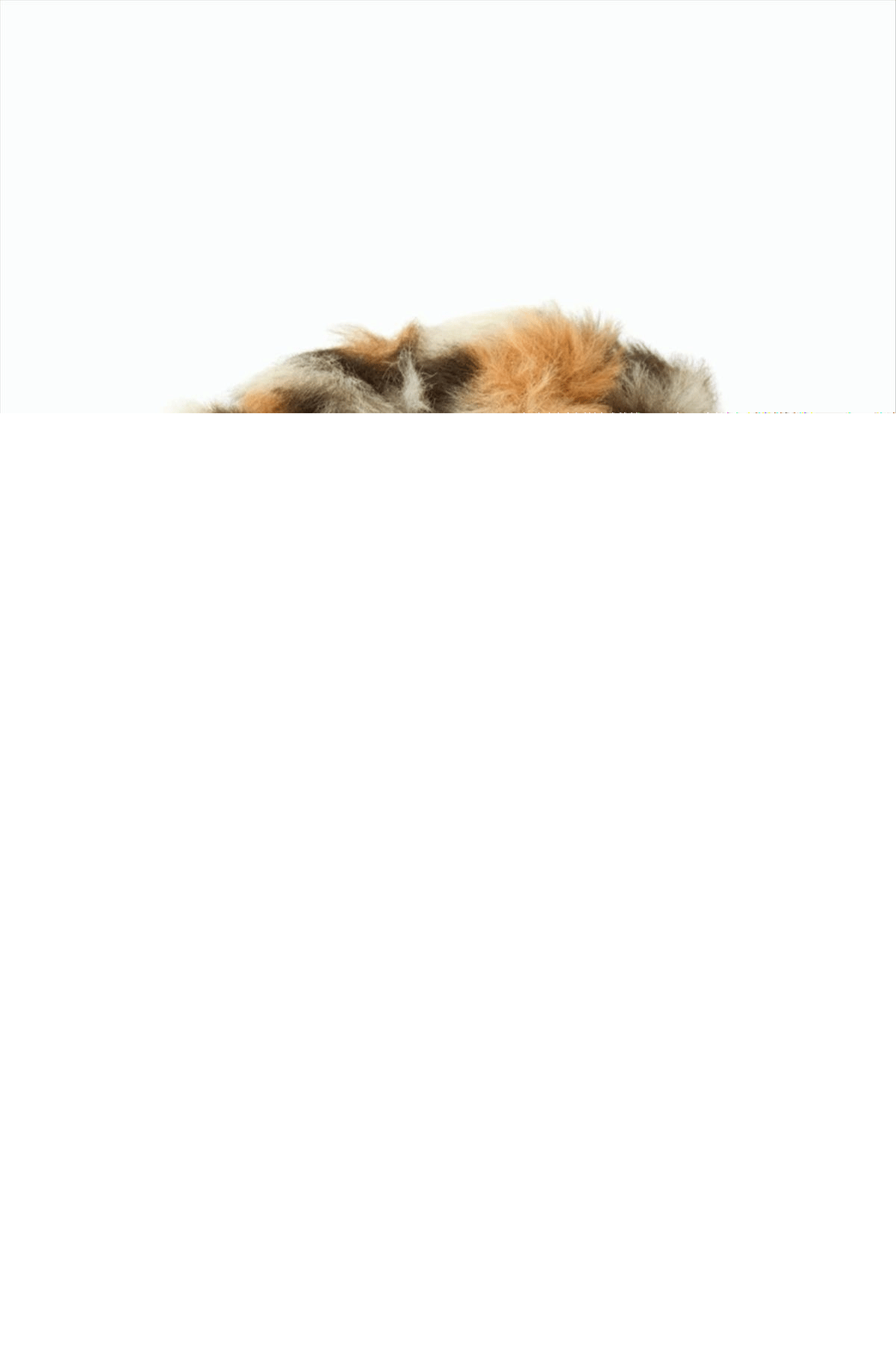 Leopar Desenli Tüylü Simit Toka 1 Adet
