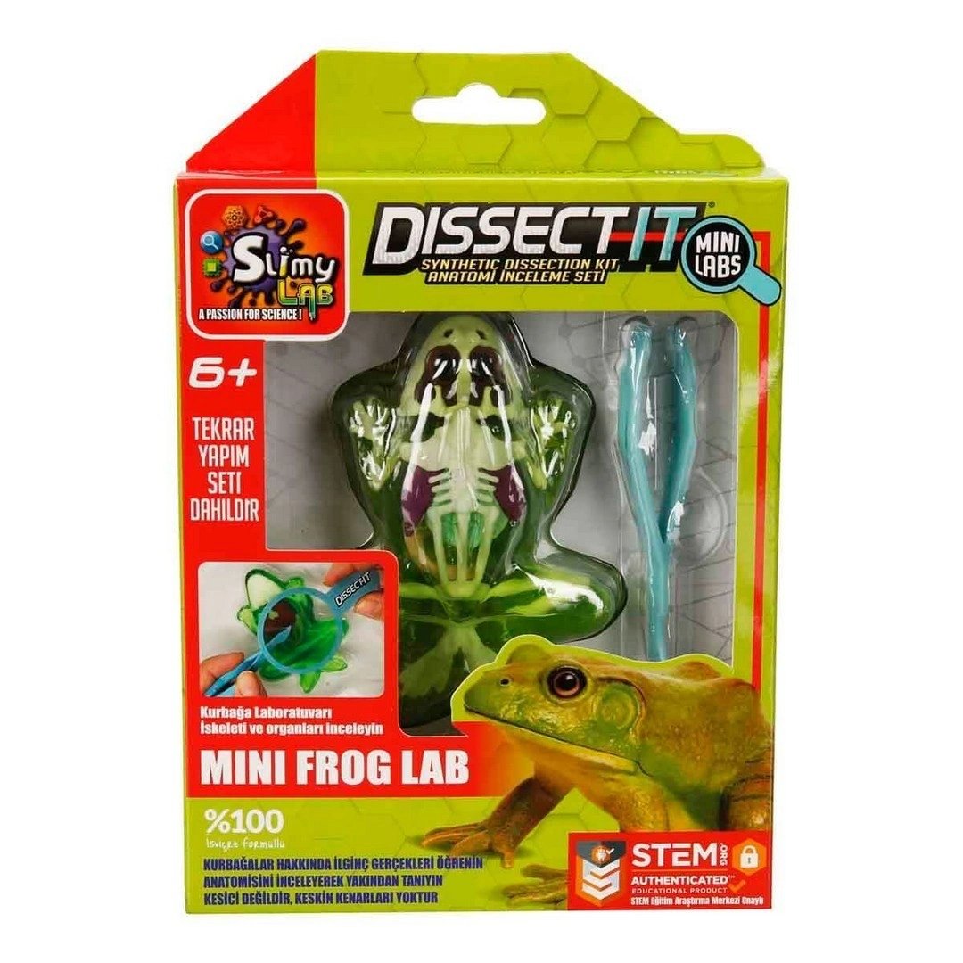 Slimy Dissect it Mini Labaratuvar