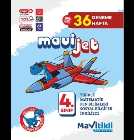 4.SINIF MAVİJET