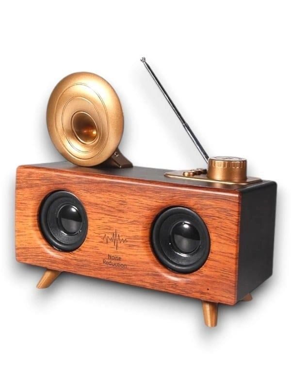 B6 Speaker Hoparlör