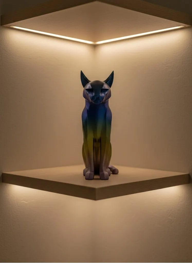 KOYU RAİNBOW KEDİ