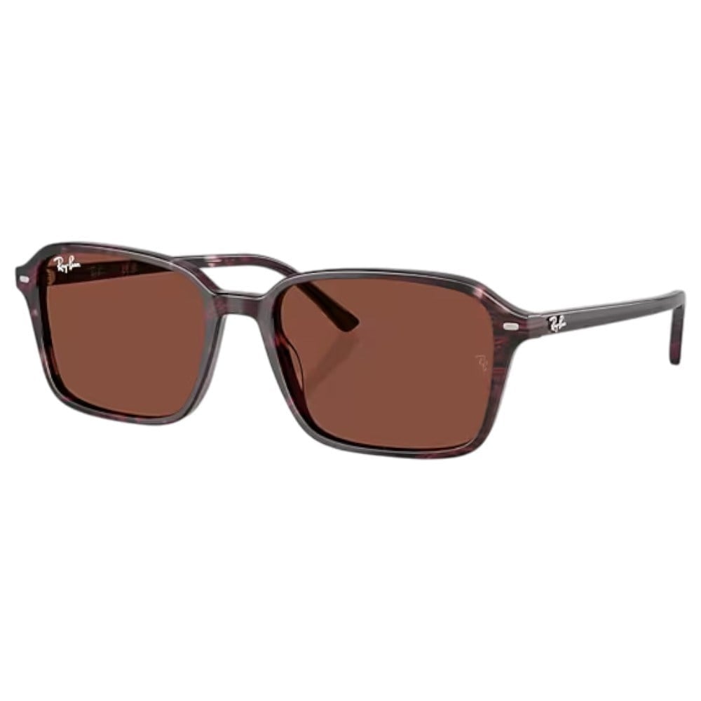 Ray-Ban Orb2231 1416C5 58Hc