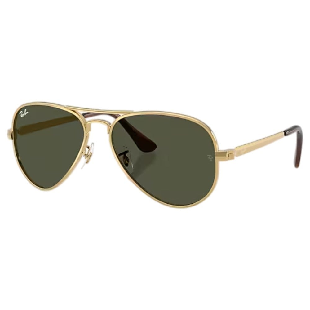 Ray-Ban Orb3925 001/31 58Hc