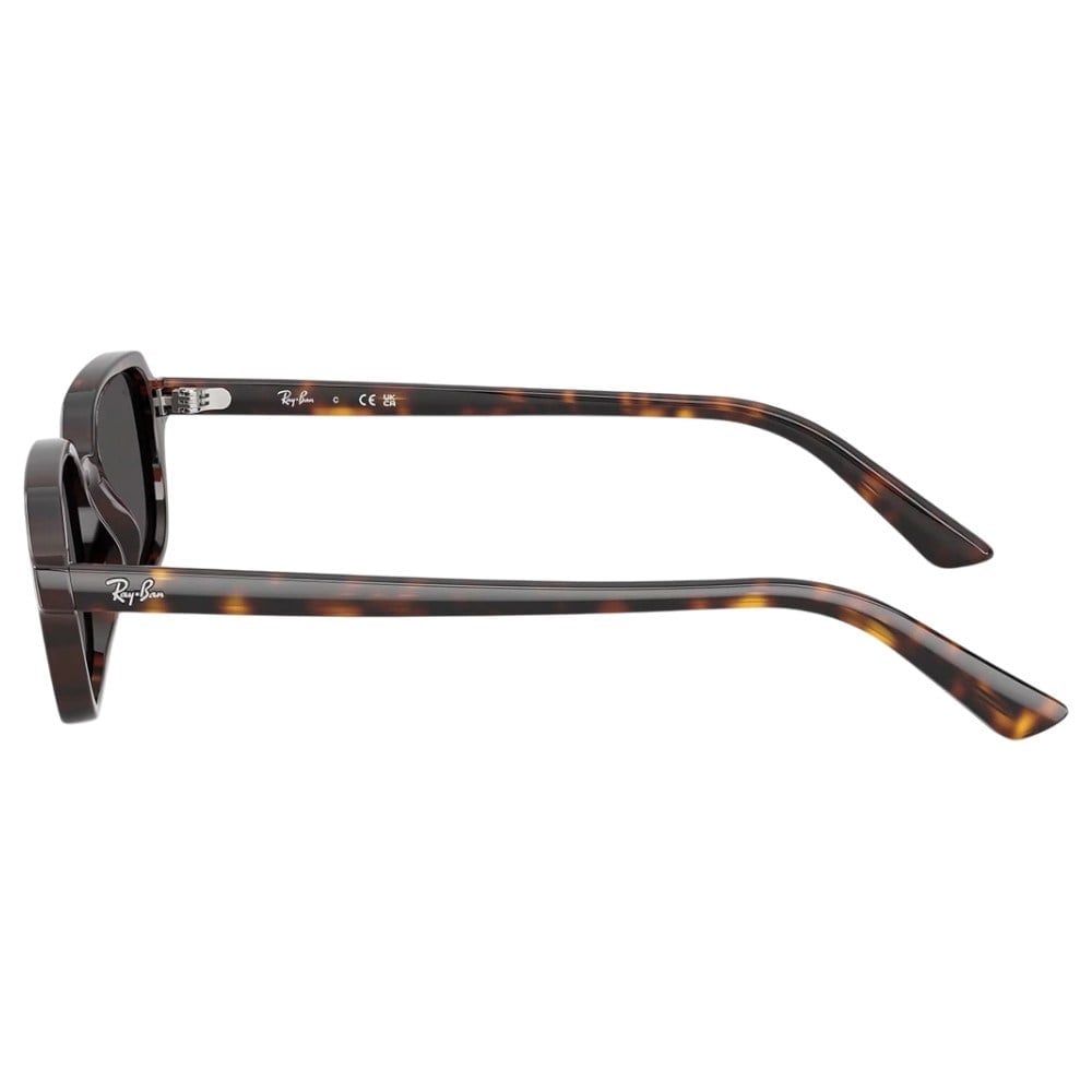 Ray-Ban Orb4455 135987 52Hc